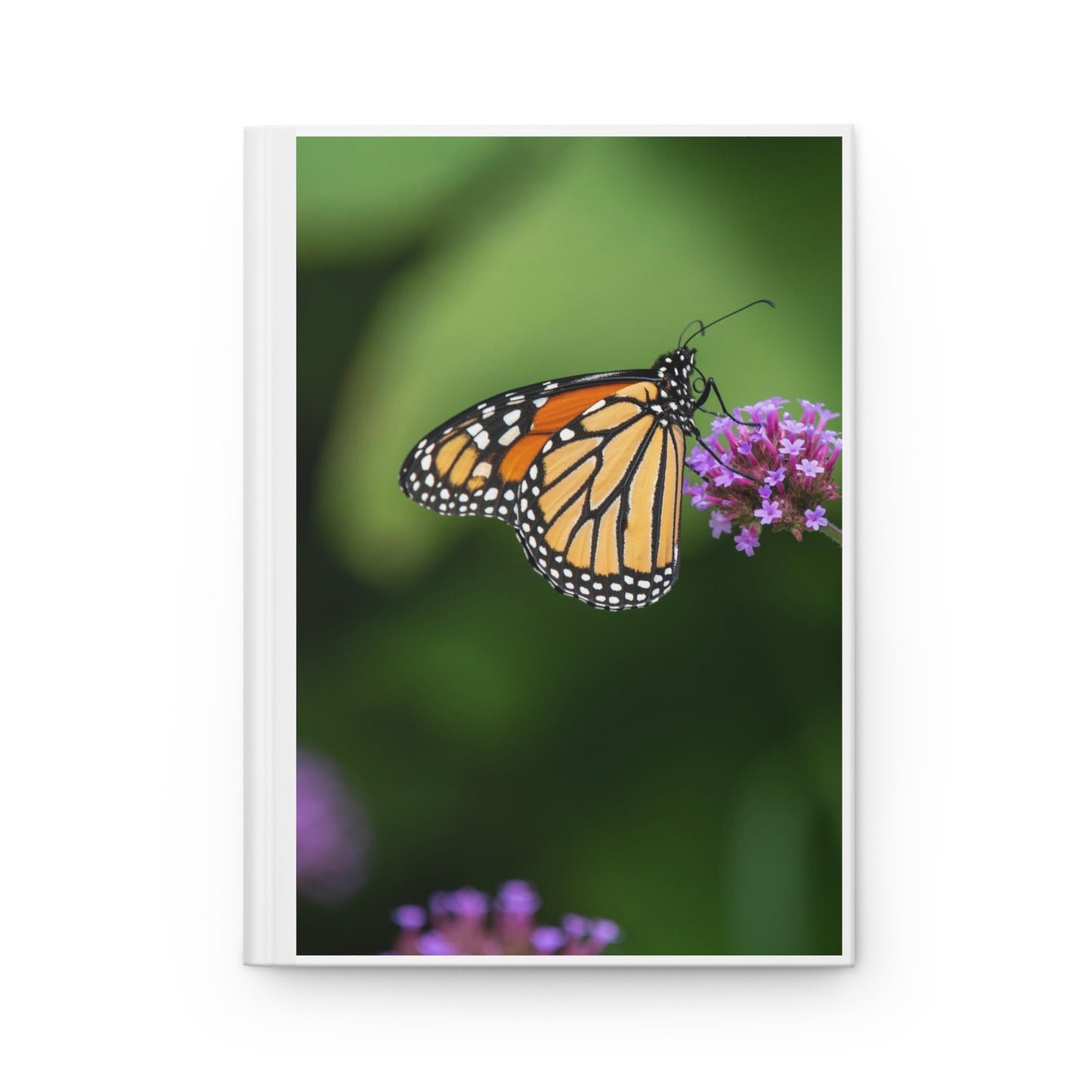 Monarch Butterfly Hardcover Journal 150 Pages