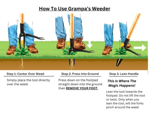 Grampa's Weeder - The Original Stand Up Weed Puller Tool with Long Handle - Made with Real Bamboo & 4-Claw Steel Head Design - Easily Remove Weeds Without Bending, Pulling, or Kneeling