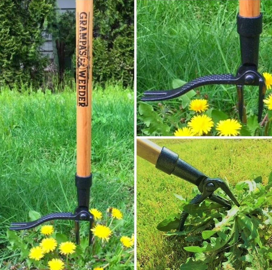 Grampa's Weeder - The Original Stand Up Weed Puller Tool with Long Handle - Made with Real Bamboo & 4-Claw Steel Head Design - Easily Remove Weeds Without Bending, Pulling, or Kneeling