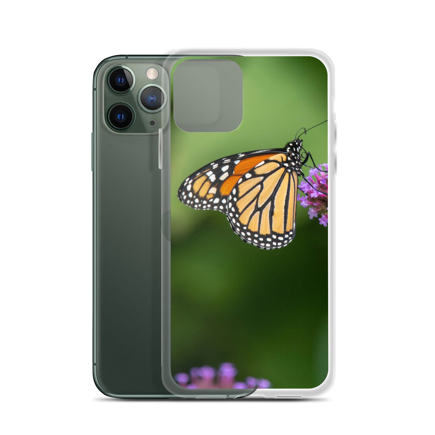 Monarch Butterfly Case for iPhone® all sizes