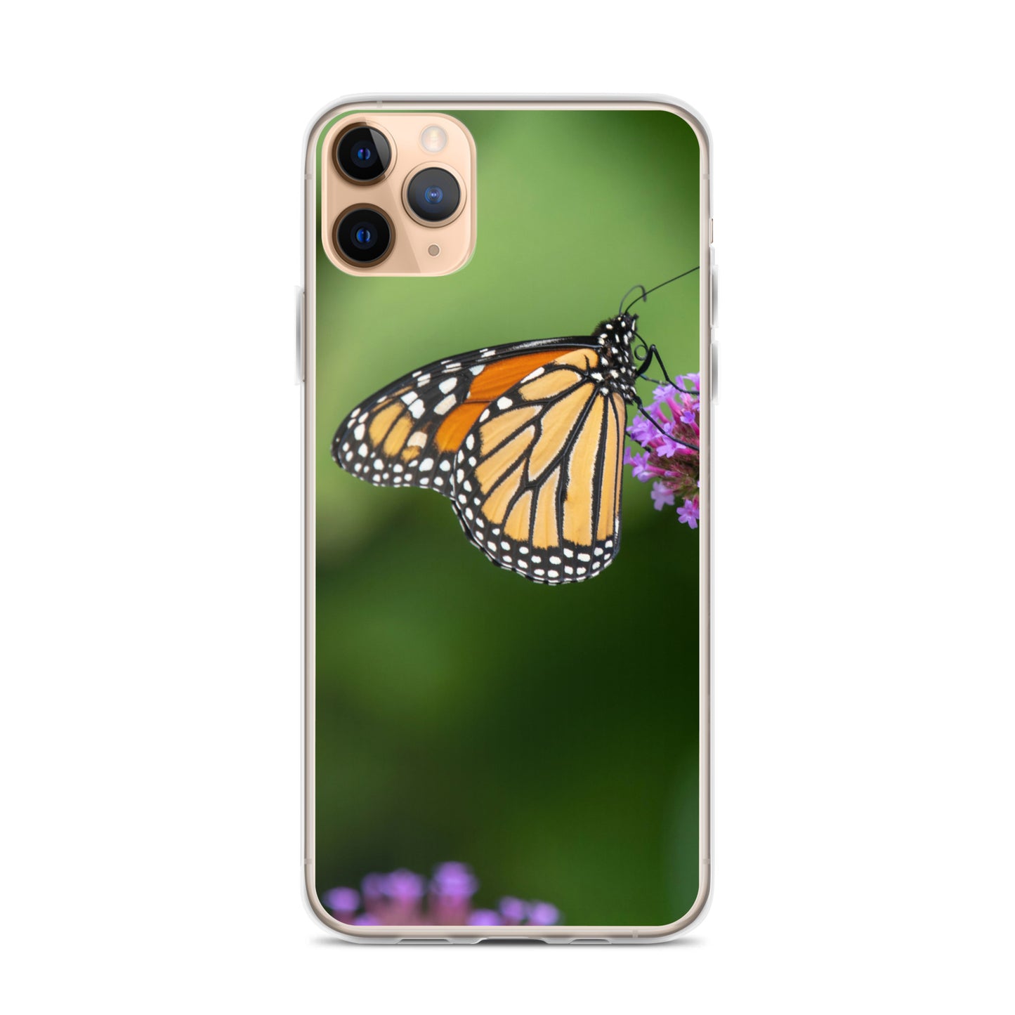 Monarch Butterfly Case for iPhone® all sizes