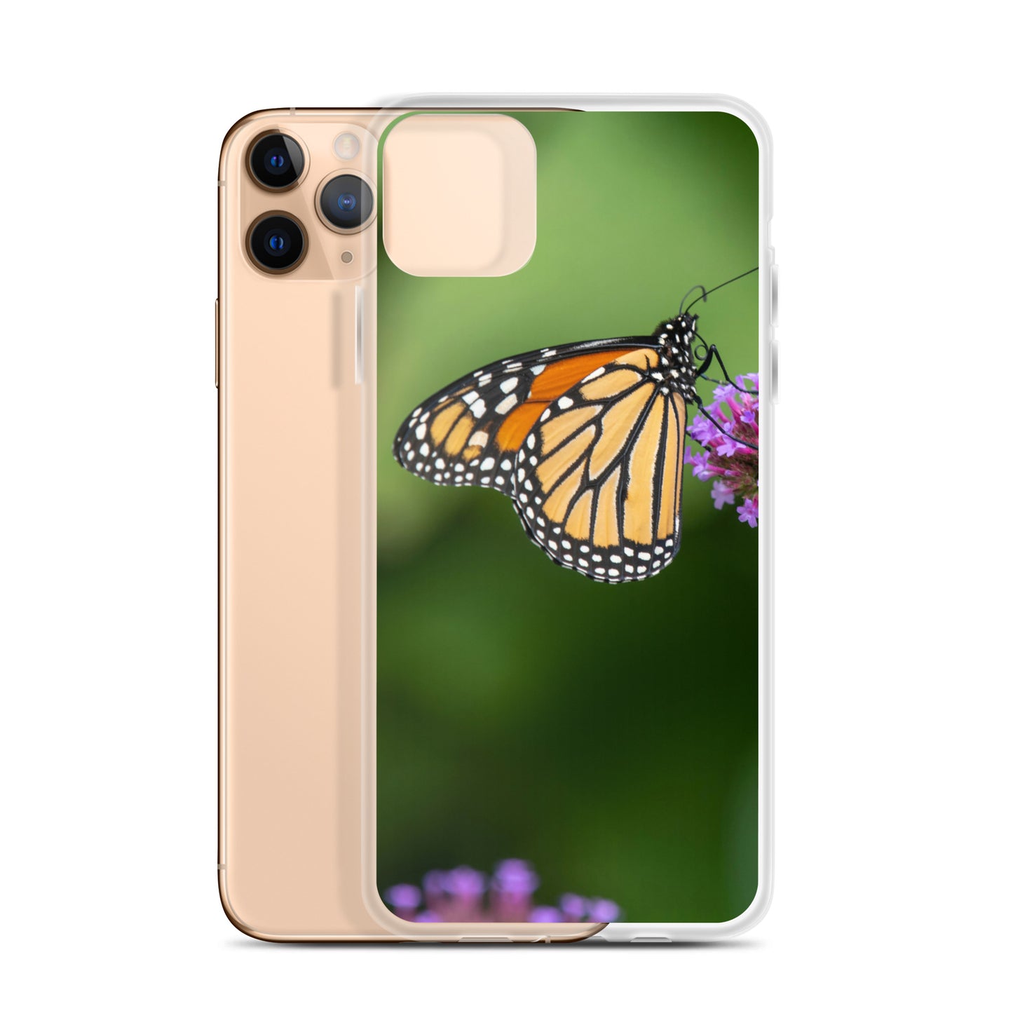 Monarch Butterfly Case for iPhone® all sizes