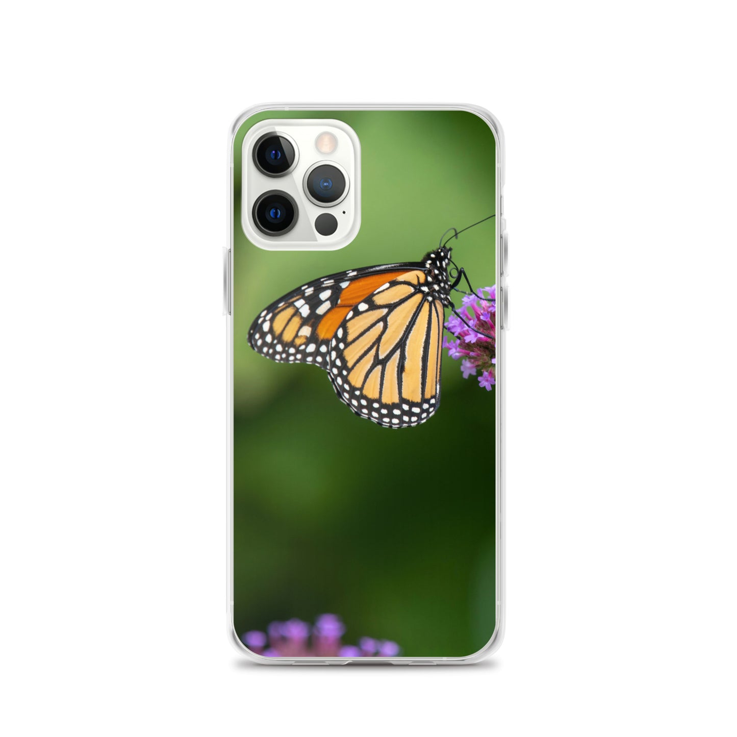 Monarch Butterfly Case for iPhone® all sizes