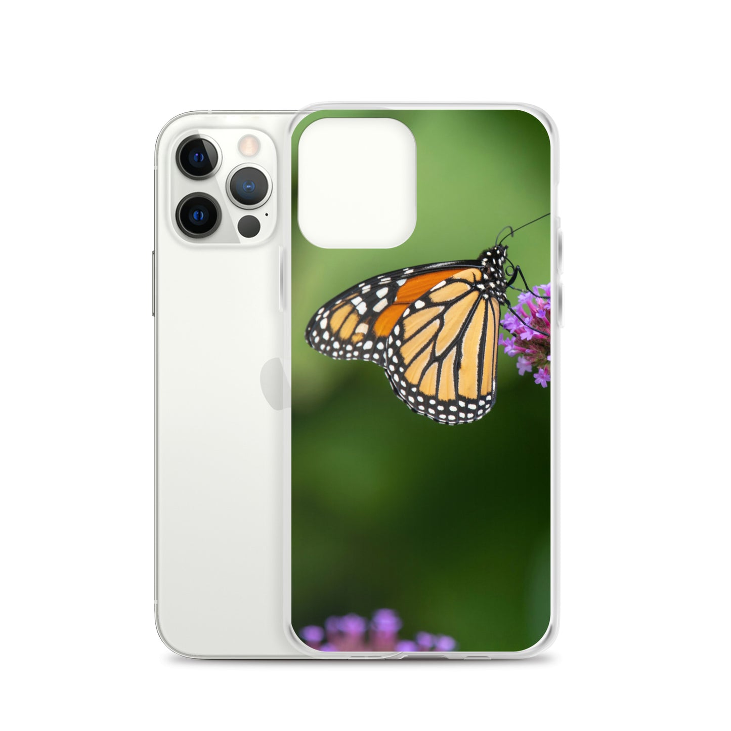 Monarch Butterfly Case for iPhone® all sizes