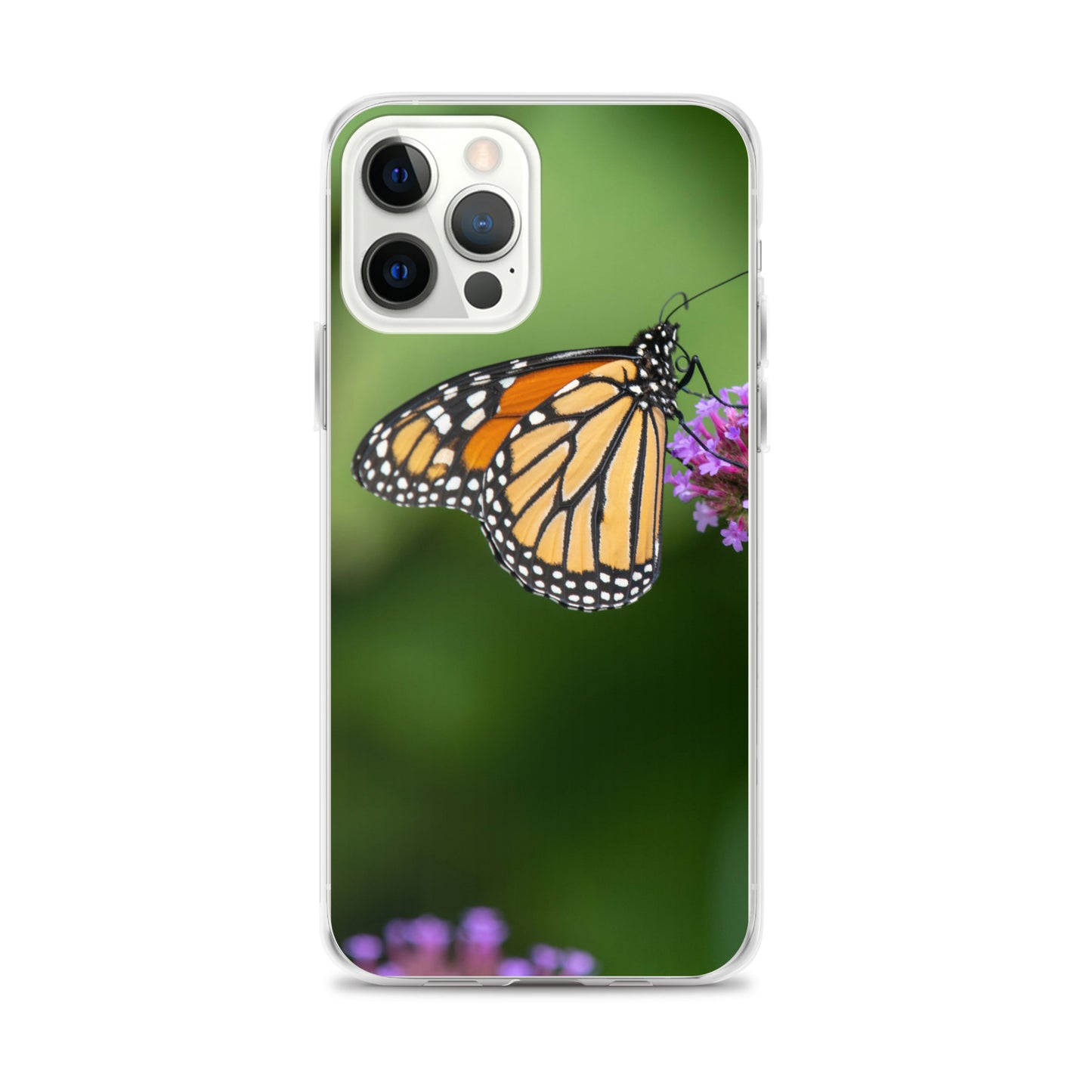 Monarch Butterfly Case for iPhone® all sizes