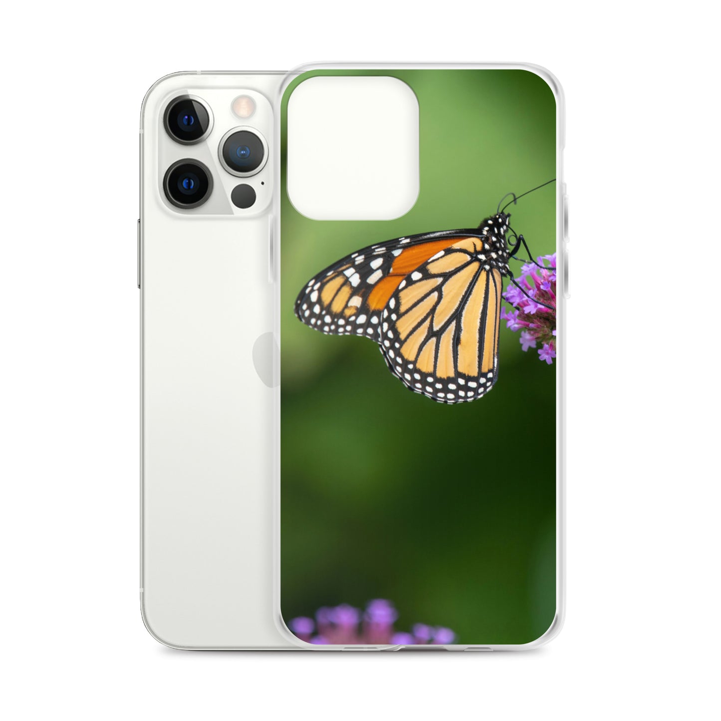 Monarch Butterfly Case for iPhone® all sizes