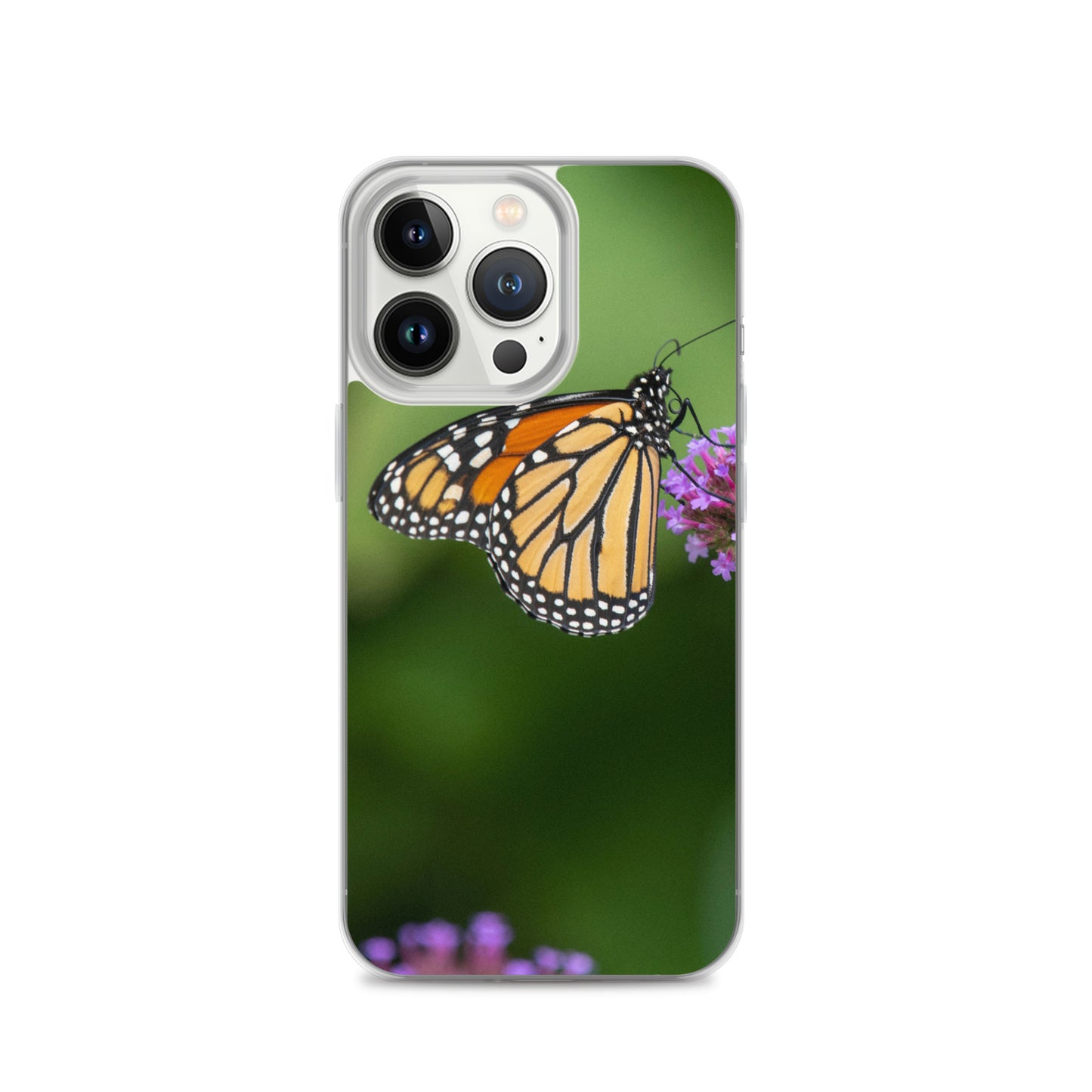 Monarch Butterfly Case for iPhone® all sizes