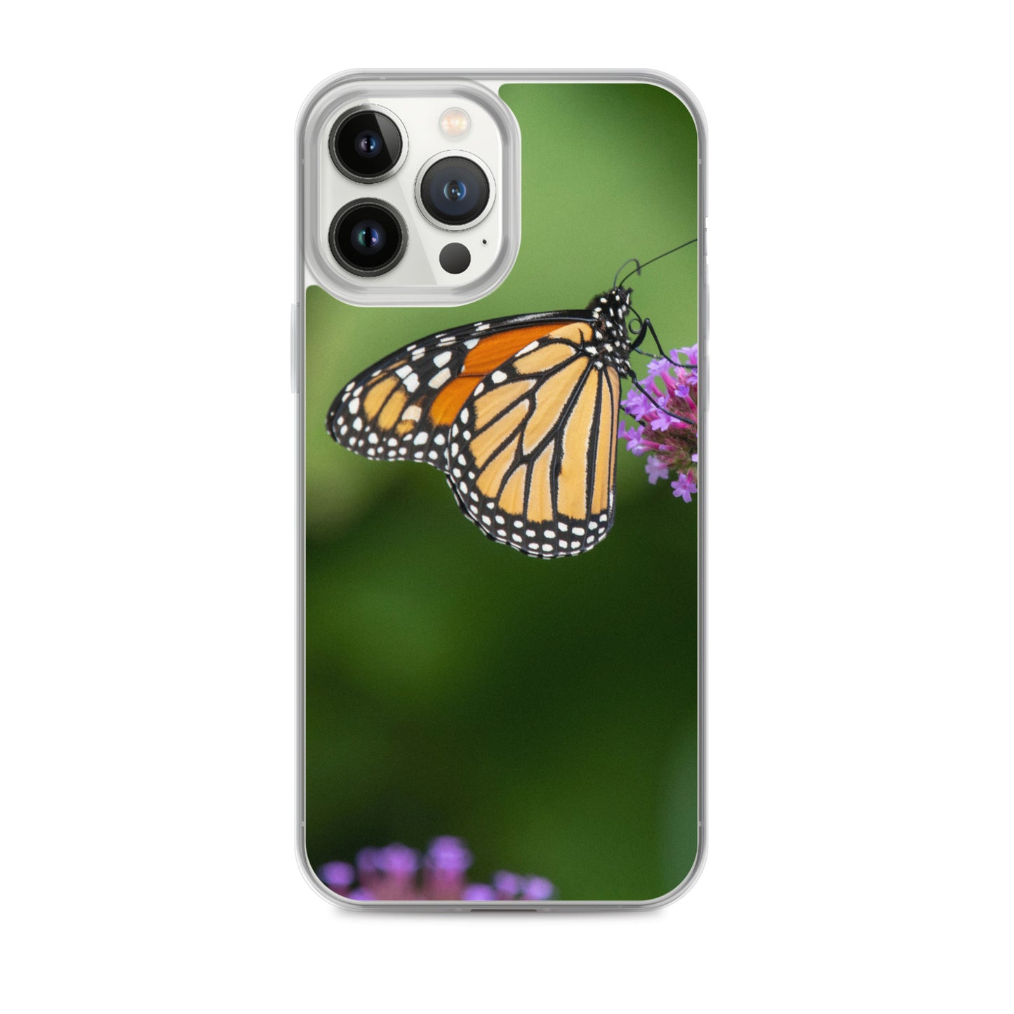 Monarch Butterfly Case for iPhone® all sizes