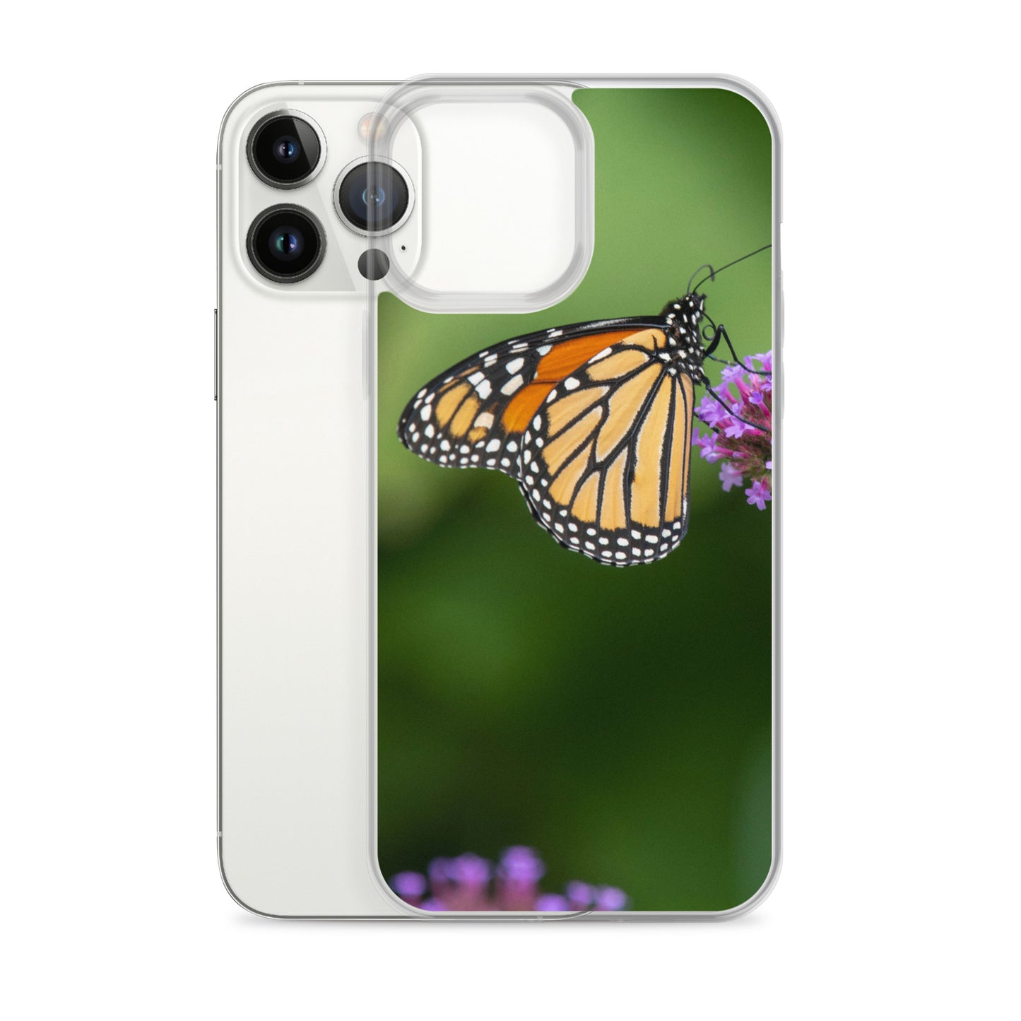 Monarch Butterfly Case for iPhone® all sizes