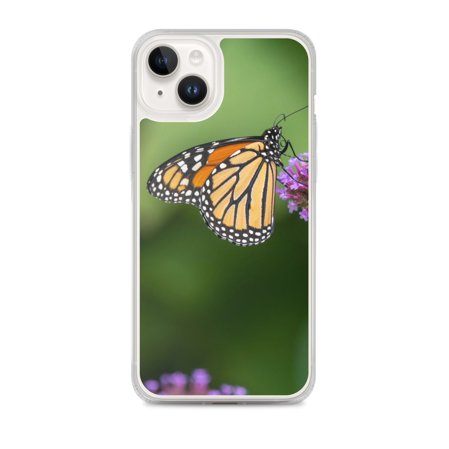 Monarch Butterfly Case for iPhone® all sizes