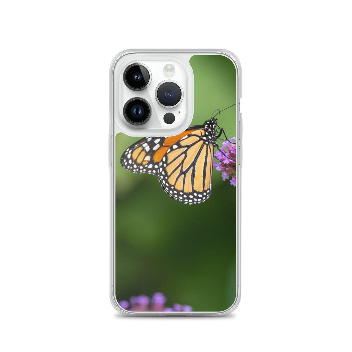 Monarch Butterfly Case for iPhone® all sizes