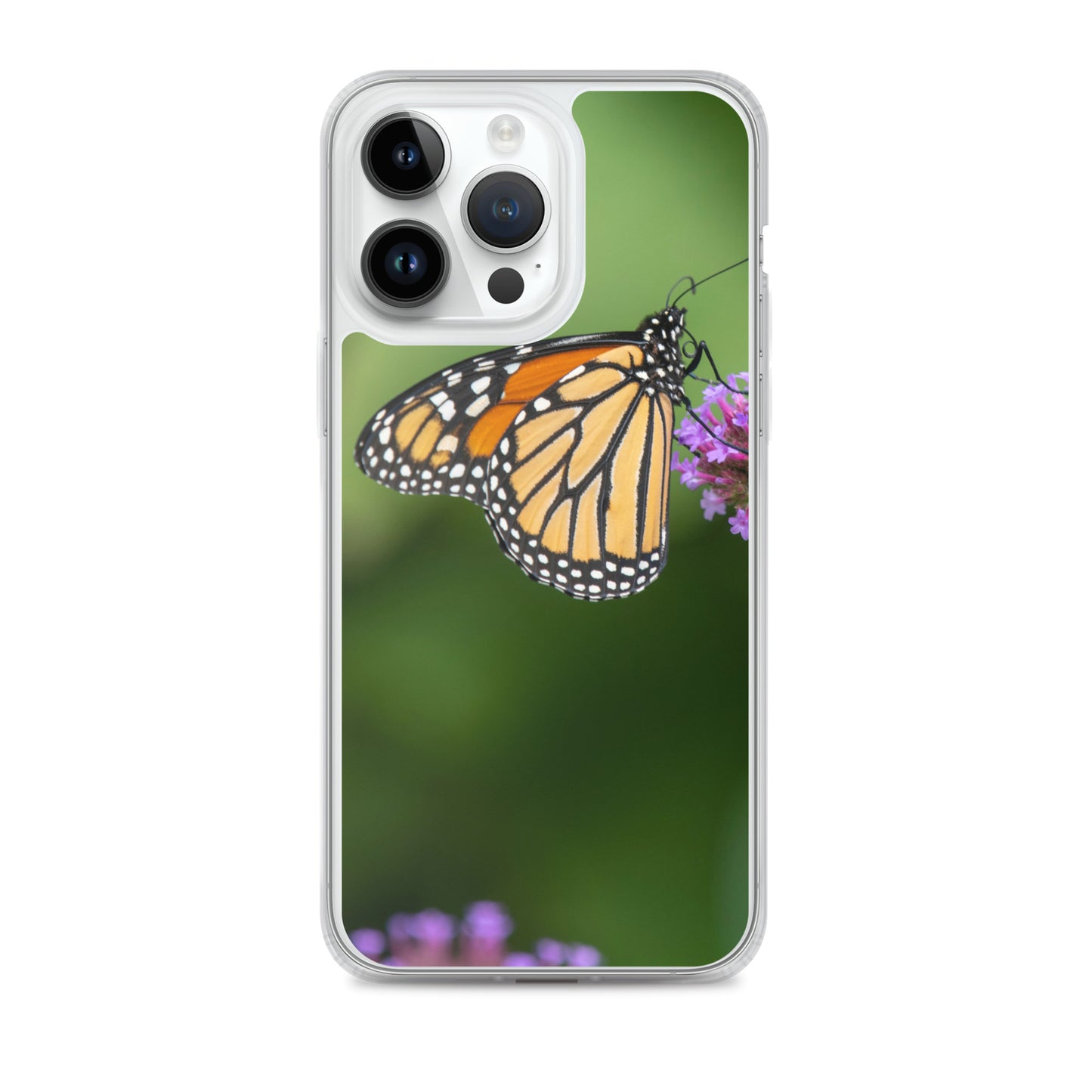 Monarch Butterfly Case for iPhone® all sizes