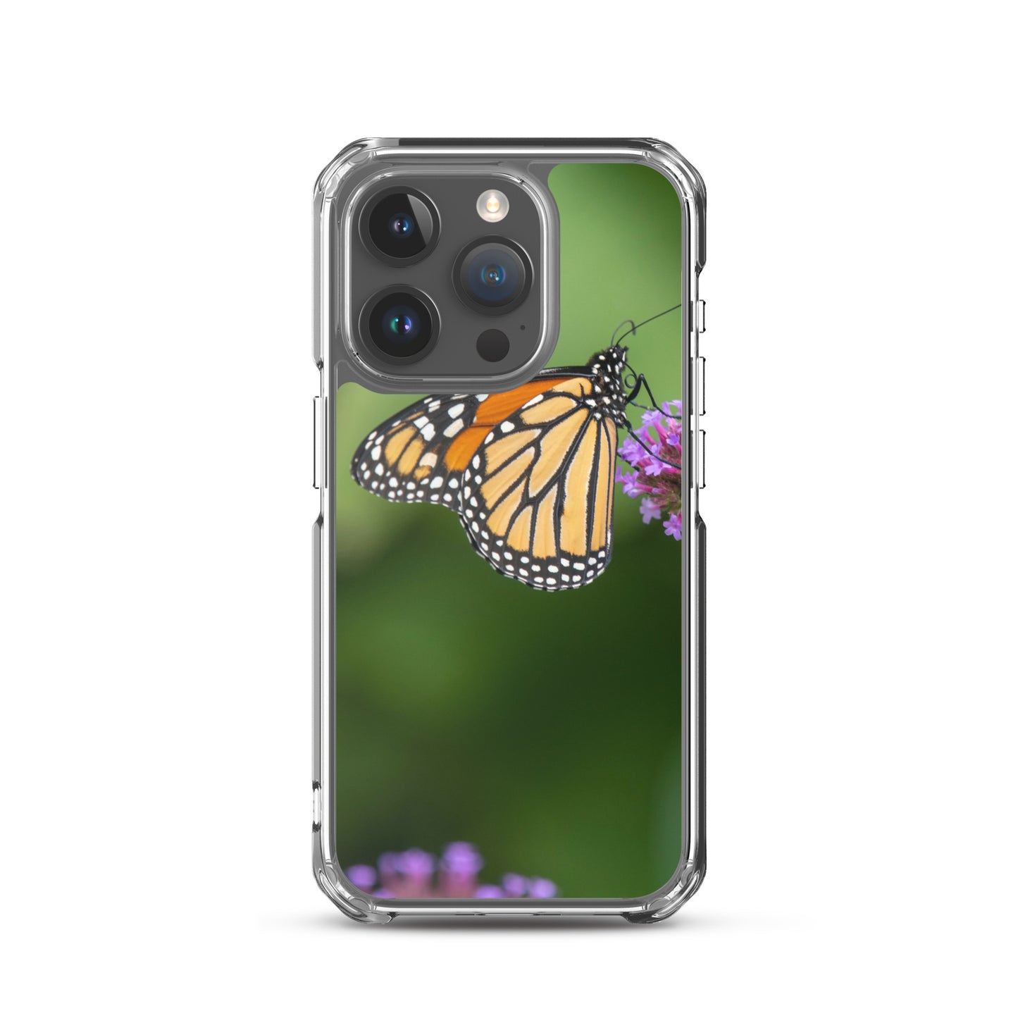 Monarch Butterfly Case for iPhone® all sizes