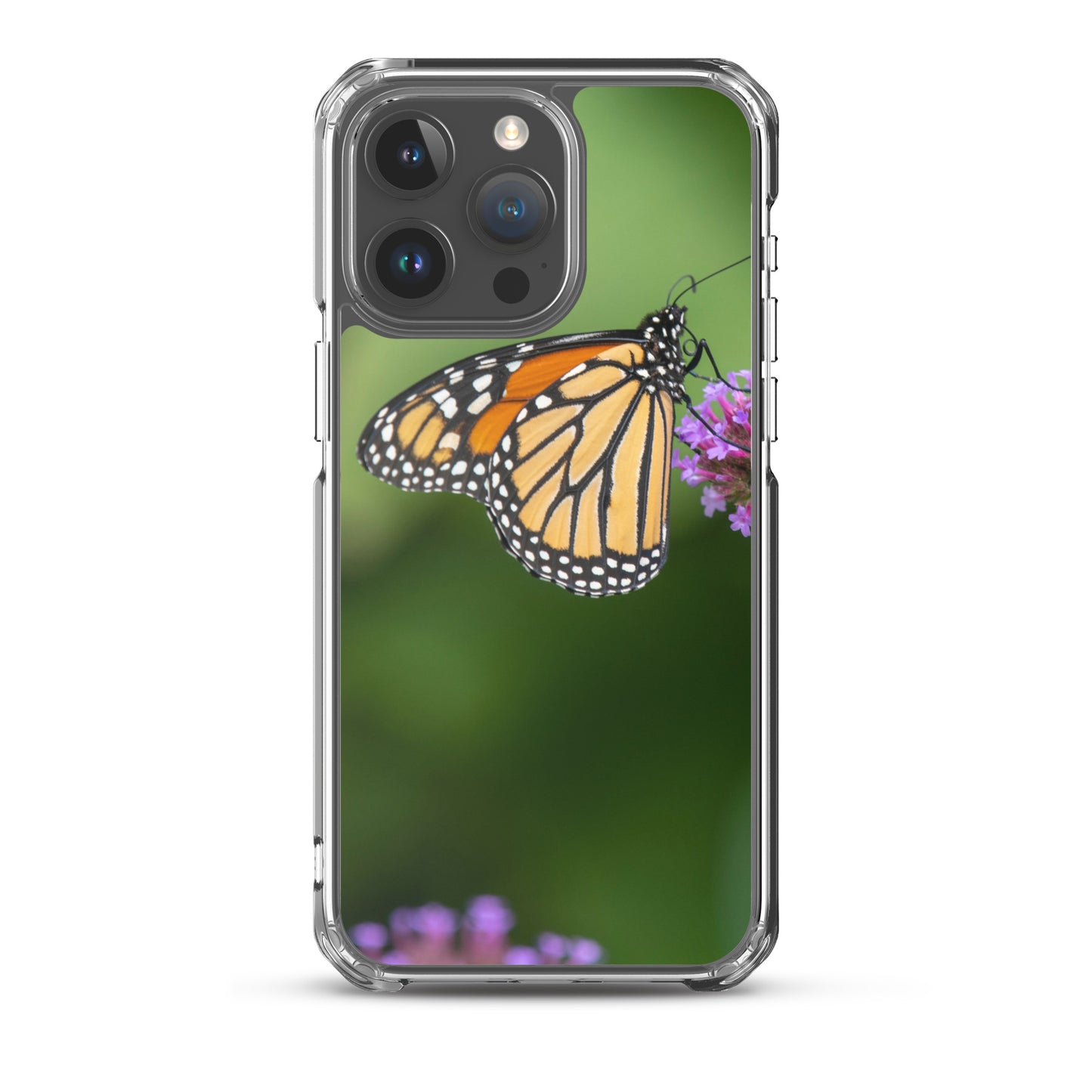 Monarch Butterfly Case for iPhone® all sizes