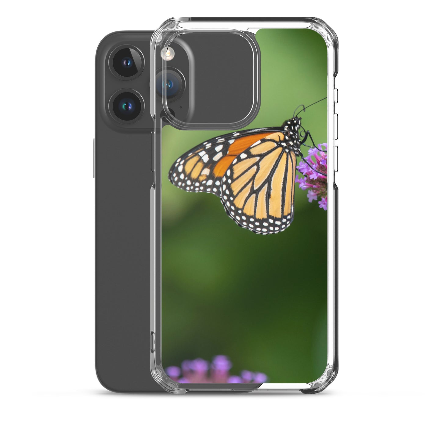 Monarch Butterfly Case for iPhone® all sizes